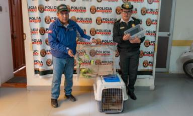 Foto: cortesía