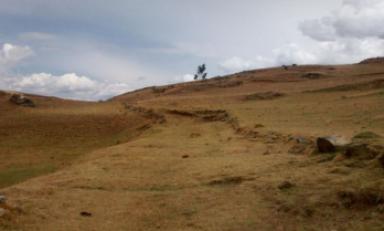 Foto cortesía Andina