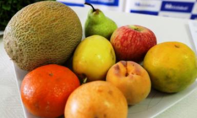 Foto Internet referencial