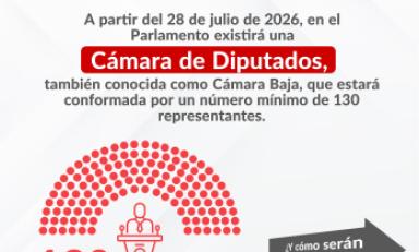 Foto: cortesía JNE
