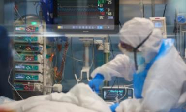 Foto: Internet Foto: Internet