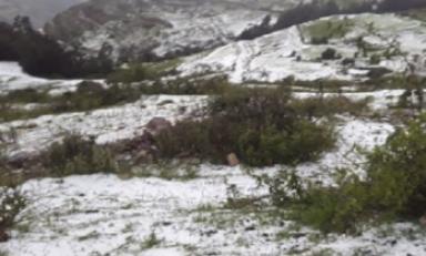 (Foto cortesía Andina)