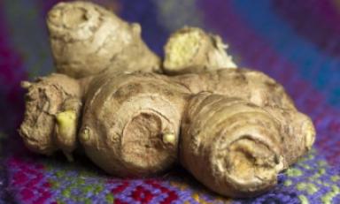 Foto referencial- Internet