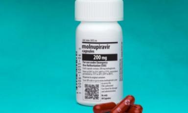 Foto: Internet Foto: Internet