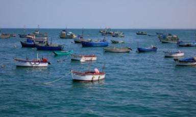 Foto: cortesía FONDEPES