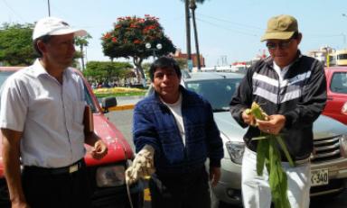 Foto Milton Palpa