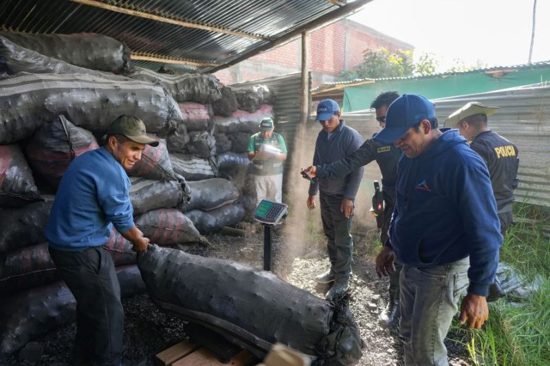 Serfor incautó más de 19 toneladas de carbón vegetal en la provincia de Carhuaz
