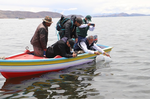 Impulsan Plan Binacional para recuperar productividad pesquera del Lago Titicaca Perú-Bolivia