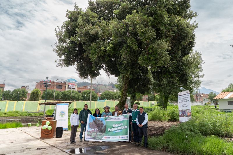 Municipalidad de Huaraz declara sus primeros dos árboles patrimoniales con la asistencia técnica del Serfor