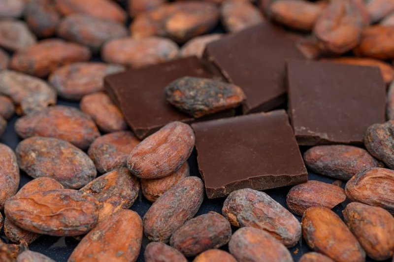 Desempeño mixto del café y cacao marcó inicio del año, con expectativas de recuperación