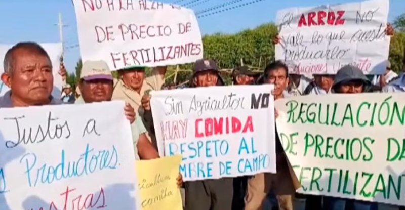 Piura: agricultores arroceros en segundo día de paro exigen presencia de ministros en la región para mesa de diálogo