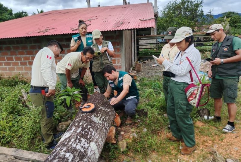 Guardaparques refuerzan acciones para combatir la tala ilegal en áreas naturales protegidas amazónicas