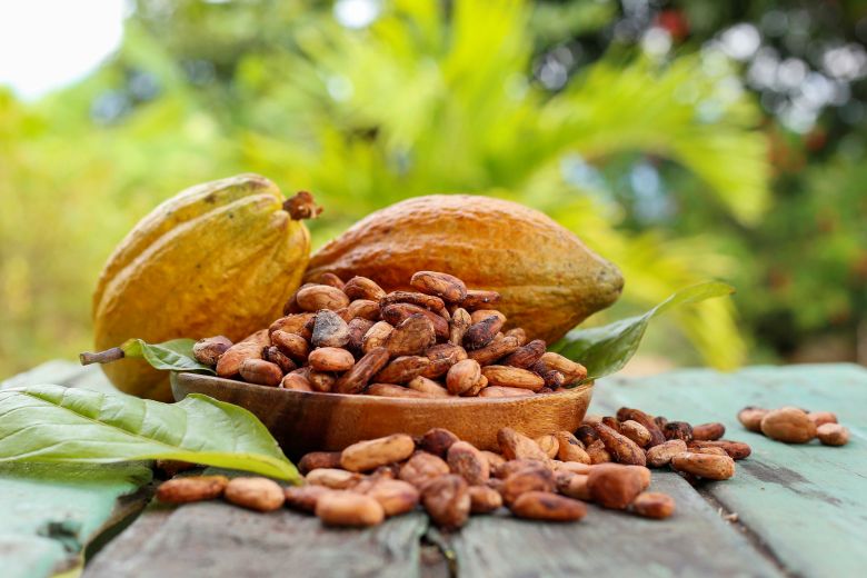 Día Mundial del Cacao: aprueban norma que impulsa la calidad, trazabilidad y competitividad del cacao peruano