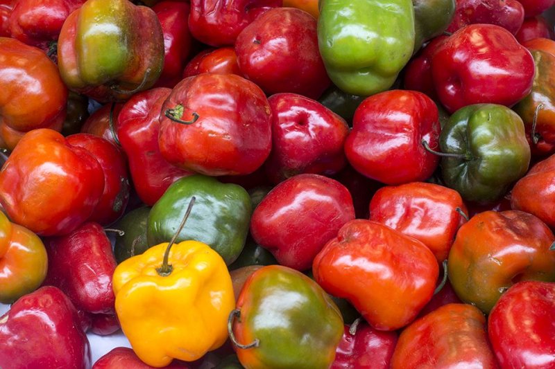 Perú es el segundo exportador de capsicum de América Latina y el Caribe