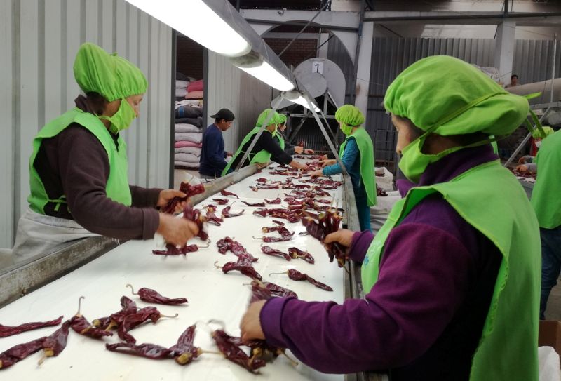 Cinco regiones concentraron 57.4% de las exportaciones del interior del país