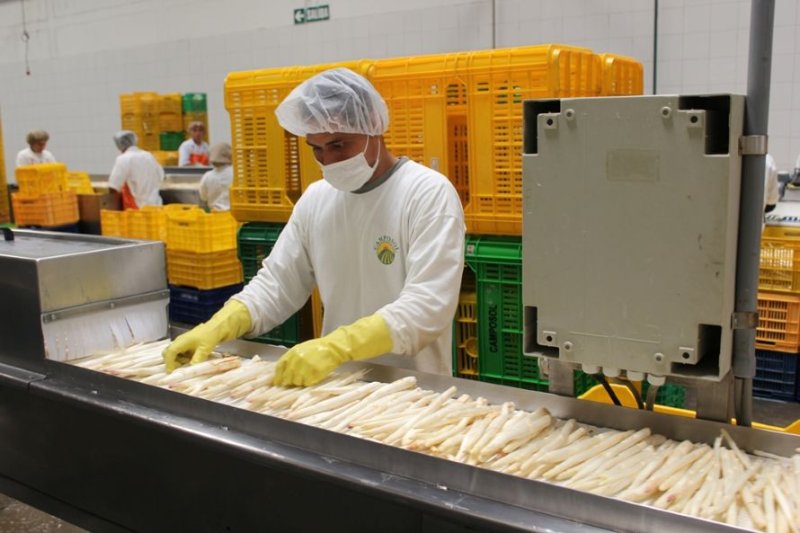Número de empresas exportadoras creció 3.7% entre enero y mayo del 2026