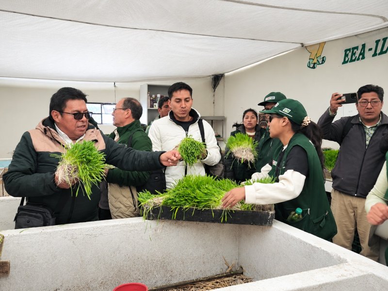 INIA presenta tecnologías agrarias para mitigar efectos del fenómeno El Niño en la producción agropecuaria de Puno