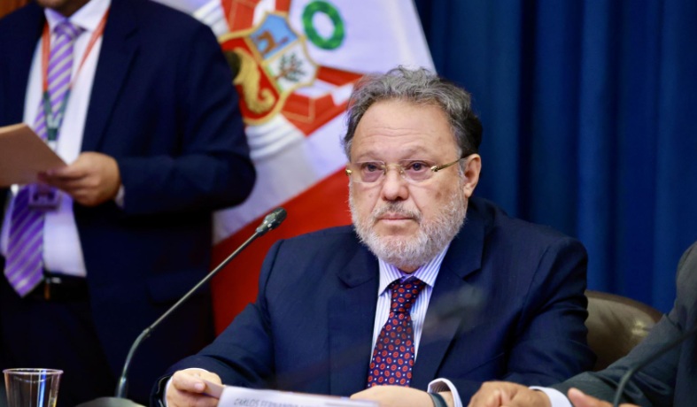 Presidente de la Comisión de Constitución del Senado exhorta a diputados a pensar en el Perú