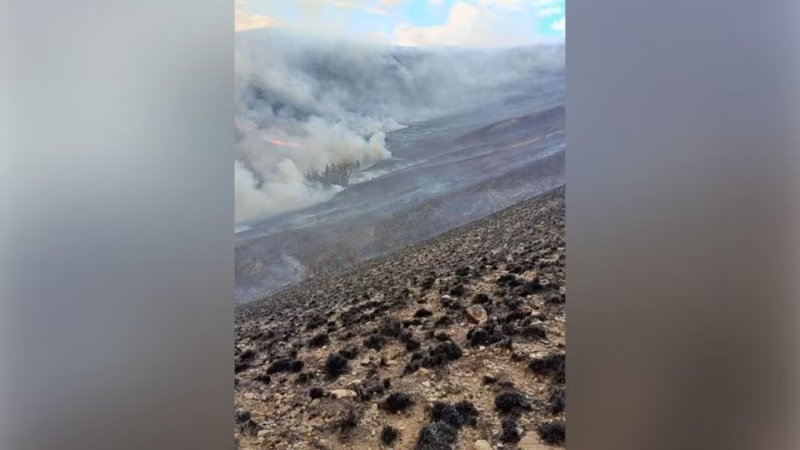 Incendio forestal afecta 30 hectáreas de pasto natural en Huaraz