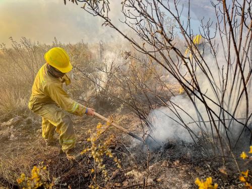 Incendios forestales en Áncash supera cifra de 2025 y alcanza los 224 siniestros este año