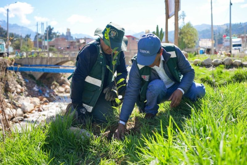 Semana forestal: Serfor impulsa actividades en Áncash para promover la conservación de los bosques