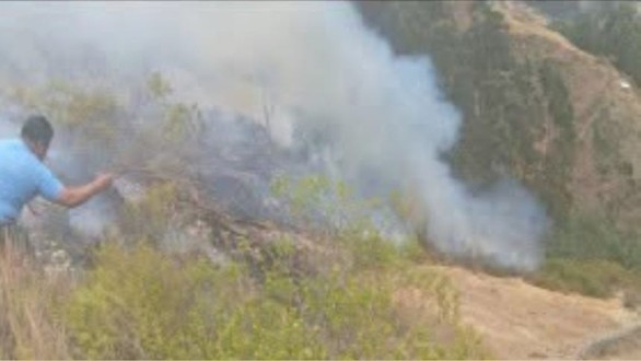 Áncash: cinco incendios forestales destruyen 32 hectáreas de cobertura natural y dejan un herido en Bolognesi