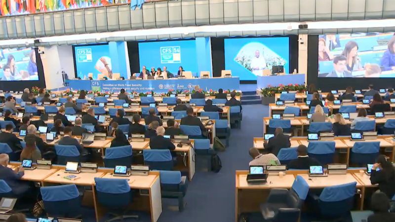 Ministra Canales reafirma ante la FAO compromiso del Perú para reducir todas las formas de malnutrición