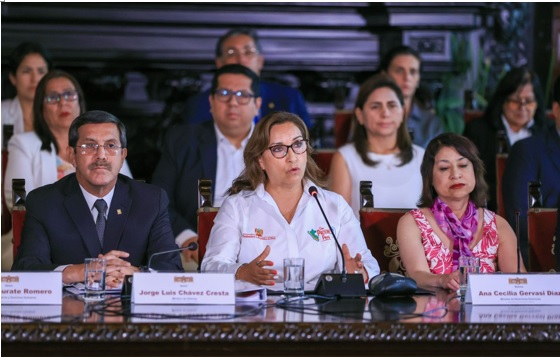 Boluarte: “El Gobierno respeta compromisos internacionales en materia de DD.HH.”