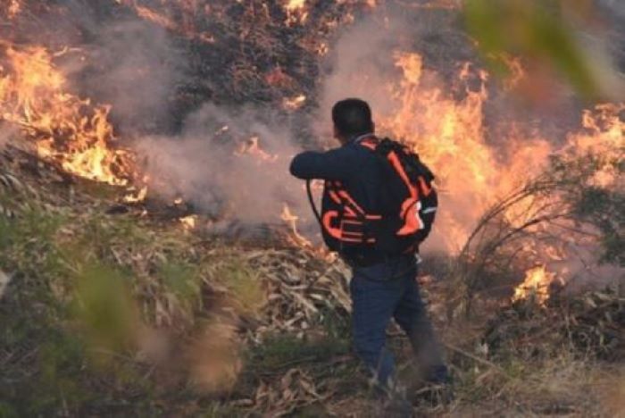 Áncash en alerta: en lo que va del año región ha soportado 40 incendios forestales
