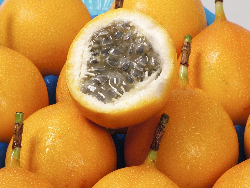 Exportación de granadilla peruana al mundo sumó US$ 357 mil 354