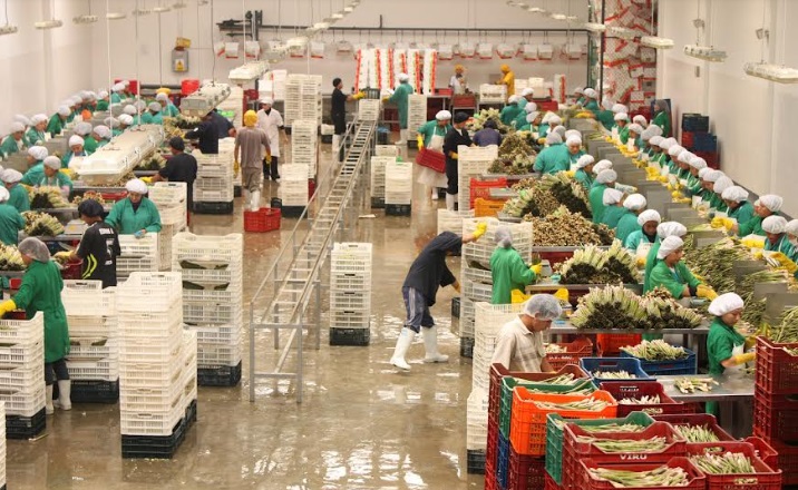 Exportaciones peruanas mantienen  niveles del año 2022