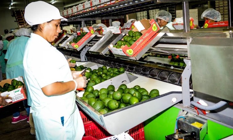 Exportaciones a la Unión Europea sumaron US$ 6 mil 220 millones