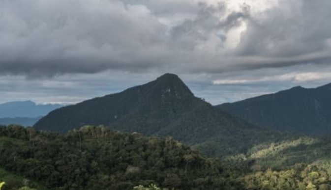 “No enfrentar el cambio climático le costaría a Perú 20% de PBI al 2050”