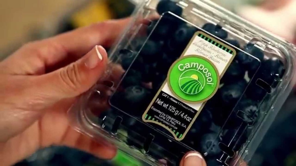 Agroexportaciones sumaron US$ 3 mil 928 millones en el primer semestre del 2023