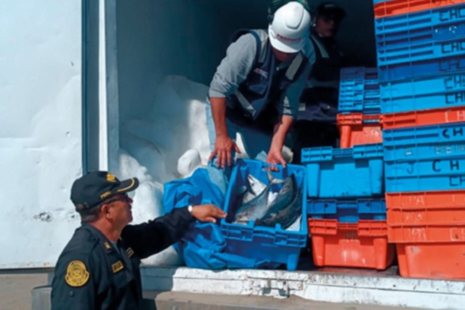 Produce coordina acciones contra la pesca ilegal