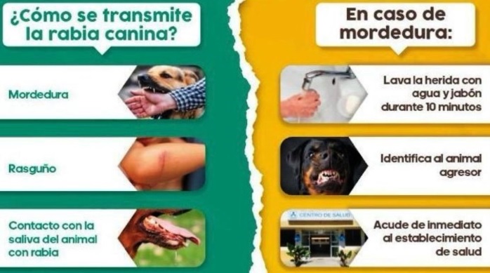 Minsa reporta primer caso sospechoso de rabia humana en Lima