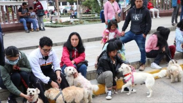 Fiscalía de Áncash insta a municipios cumplir con control sanitario de canes para evitar casos de rabia