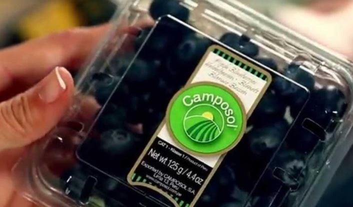 Adex: exportaciones peruanas retrocedieron -0.2% a julio de este año