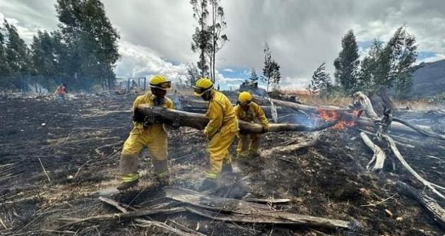 Incendio arrasa con más de 500 metros cuadrados de área natural en Huaraz