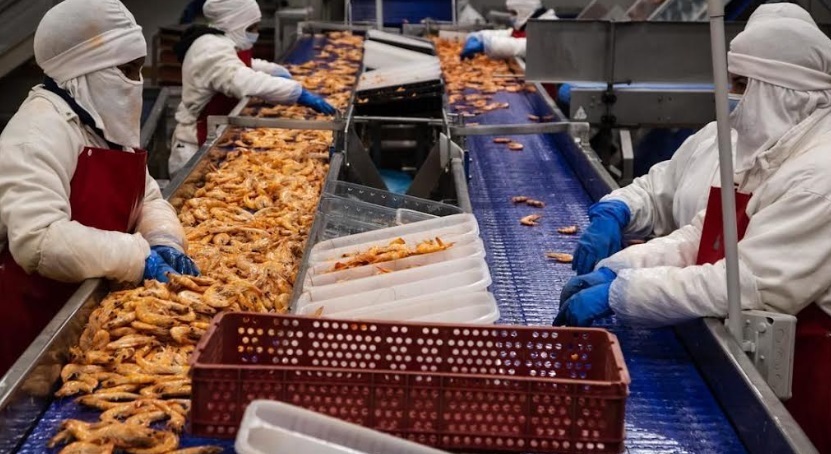 Se registraron 7 mil 504 empresas exportadoras entre enero y septiembre del 2023