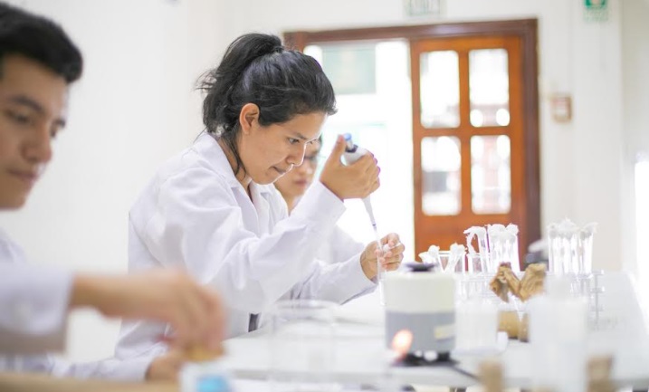 Conoce las carreras profesionales que puedes estudiar con Beca Perú