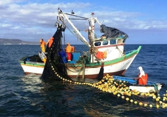 Amplían vigencia de permisos de pesca para cooperativas pesqueras