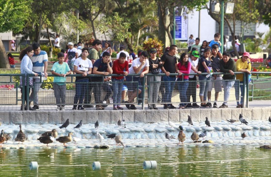 Diciembre tendrá tres feriados y dos días no laborables: ¿cuáles son?