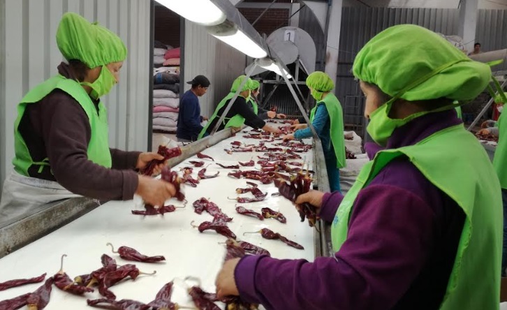 Número de empresas exportadoras se incrementó 2.5% entre enero y agosto del 2023