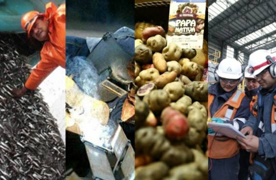 Estos son los sectores que impulsarán la economía peruana entre 2025 y 2027