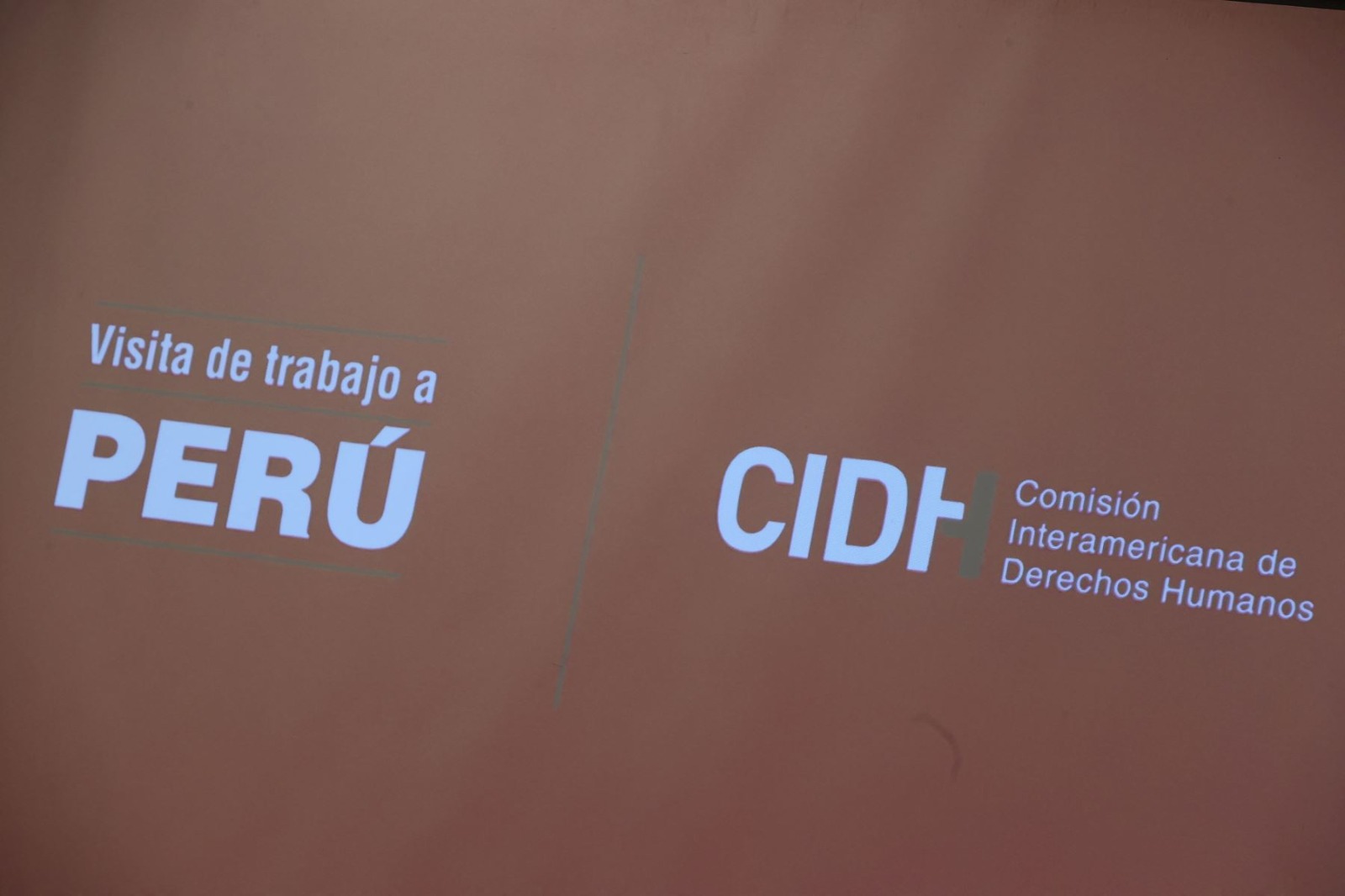 Derechos Humanos pide al Estado peruano garantizar derechos durante movilizaciones