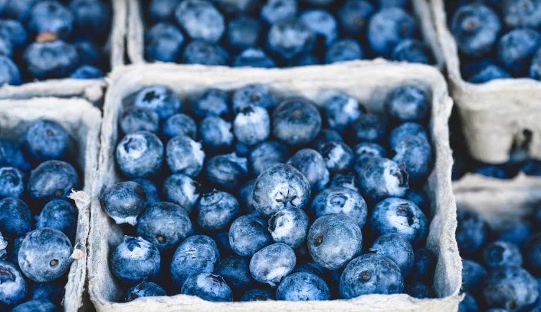 Perú fue el segundo proveedor mundial  de frutas frescas de EE.UU. en el 2023