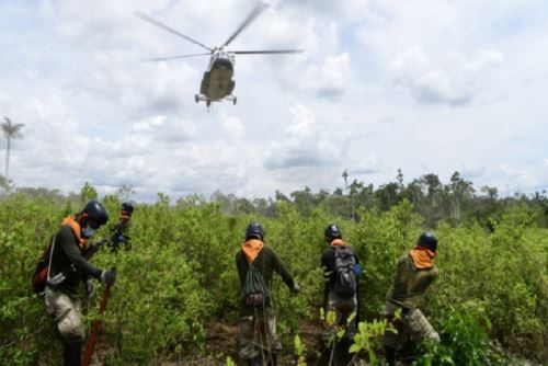 Cancillería peruana participó en lanzamiento de coalición global contra las drogas sintéticas