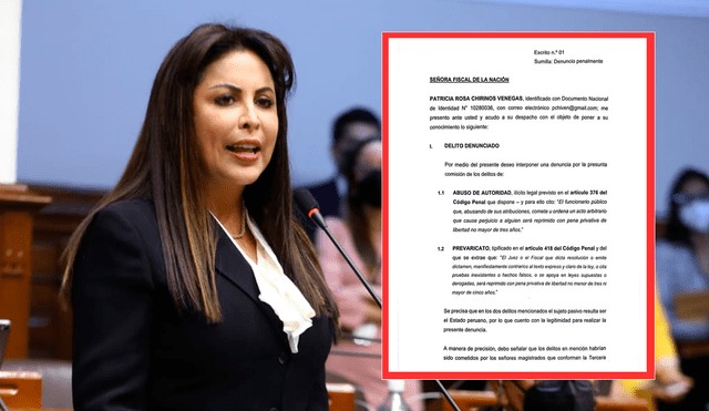 Patricia Chirinos presenta denuncia contra la Tercera Sala Constitucional por caso JNJ