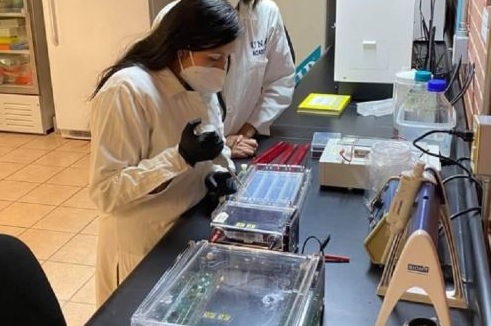 Inventoras peruanas obtienen 36 medallas de oro en Feria de Inventos de Mujeres de Corea